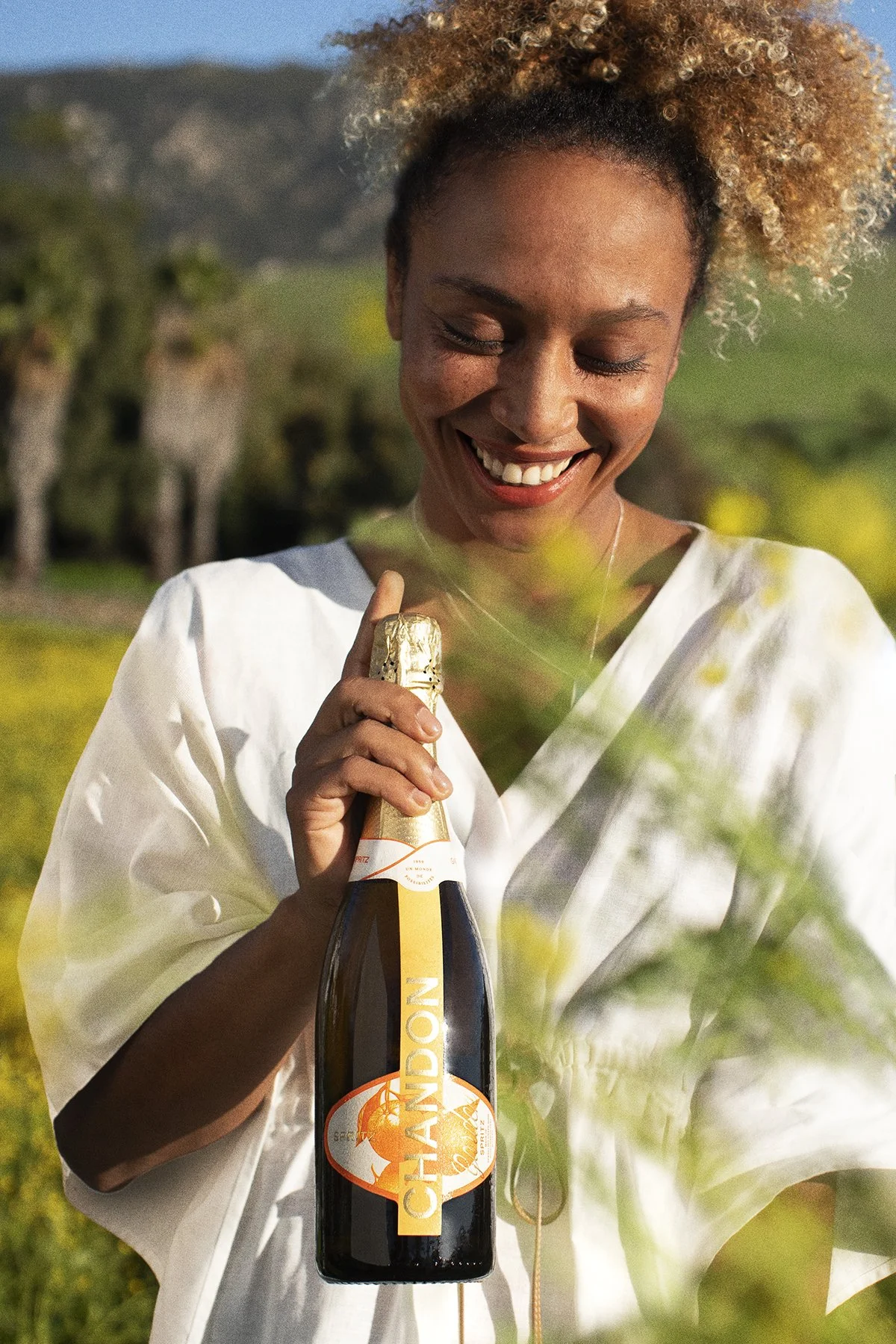 Moet & Chandon — THE WIZARD